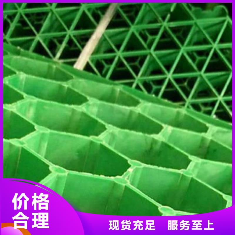 植草格【防护虹吸排水收集系统】支持大批量采购