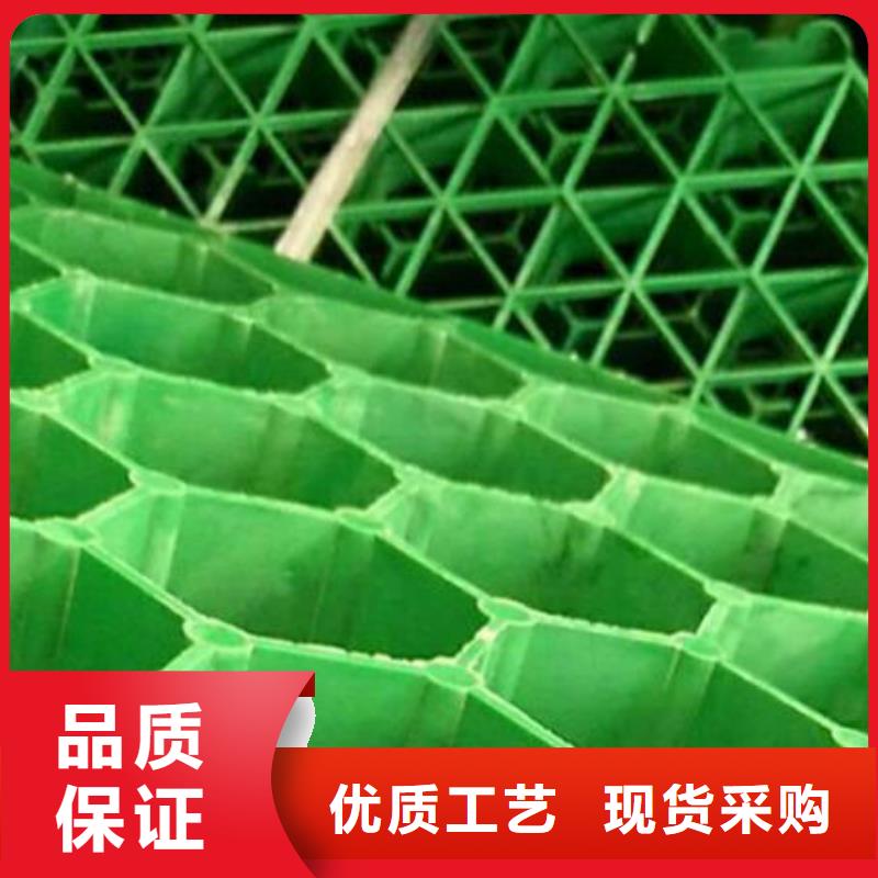 植草格防护虹吸排水收集系统供应采购