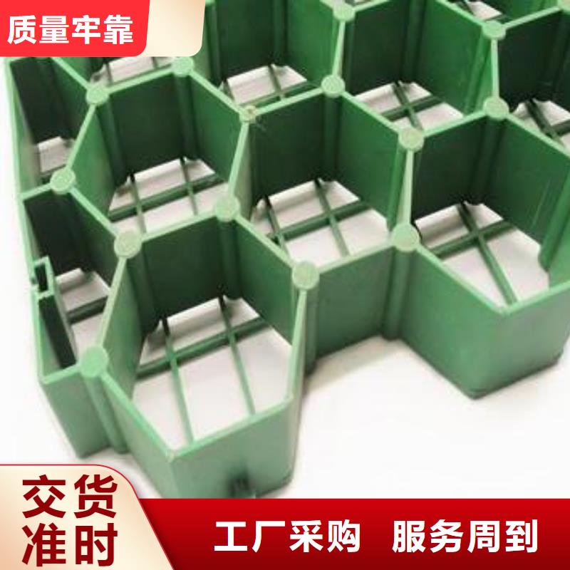 植草格水泥化粪池做工细致