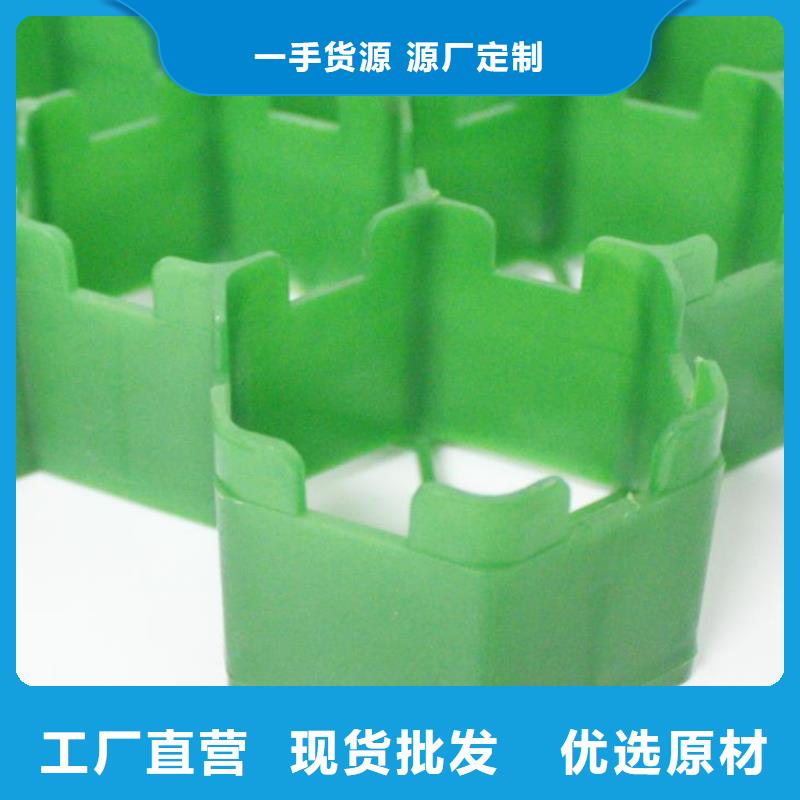 植草格【化粪池水泥】海量库存