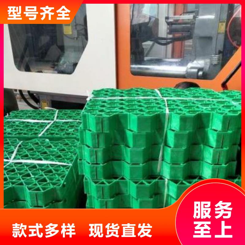植草格【车库虹吸排水系统】厂家直销大量现货