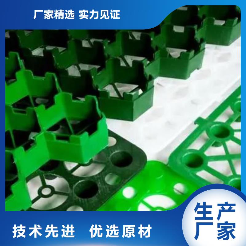 植草格防护虹吸排水收集系统满足您多种采购需求