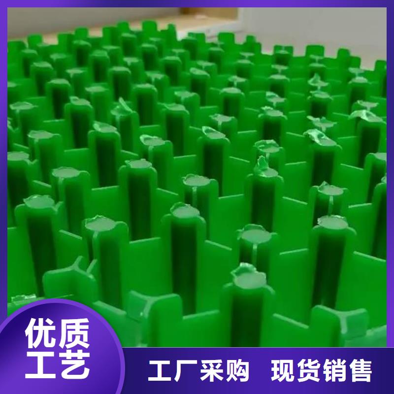 【植草格-植草格本地厂家值得信赖】