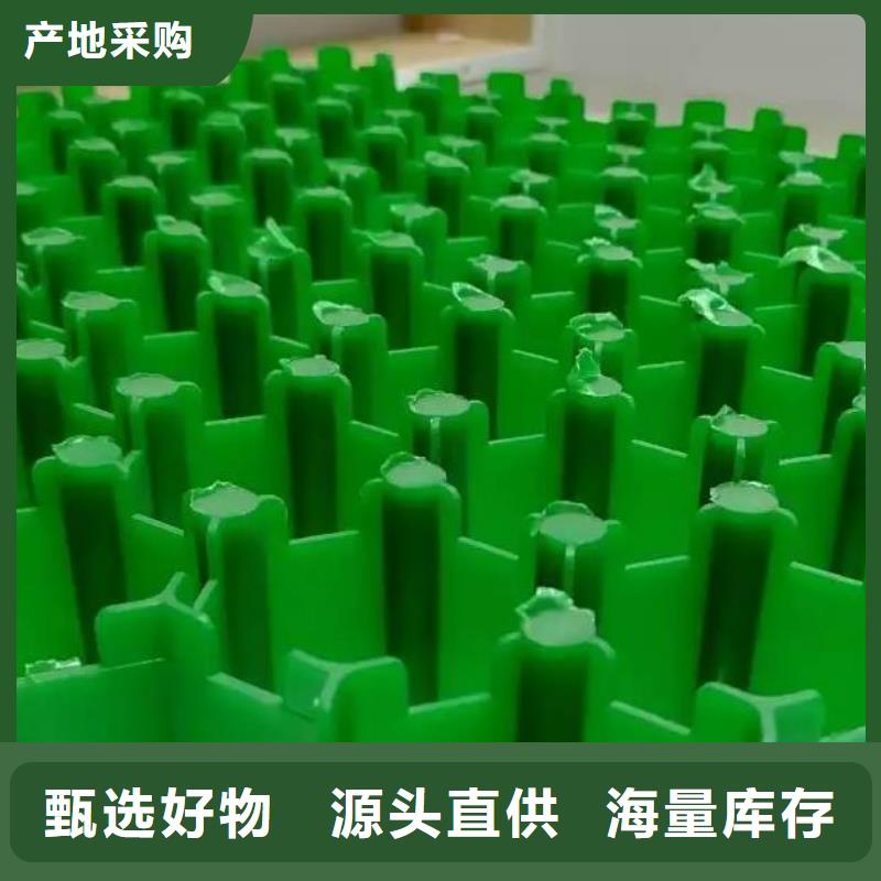 【植草格植草格诚信商家】