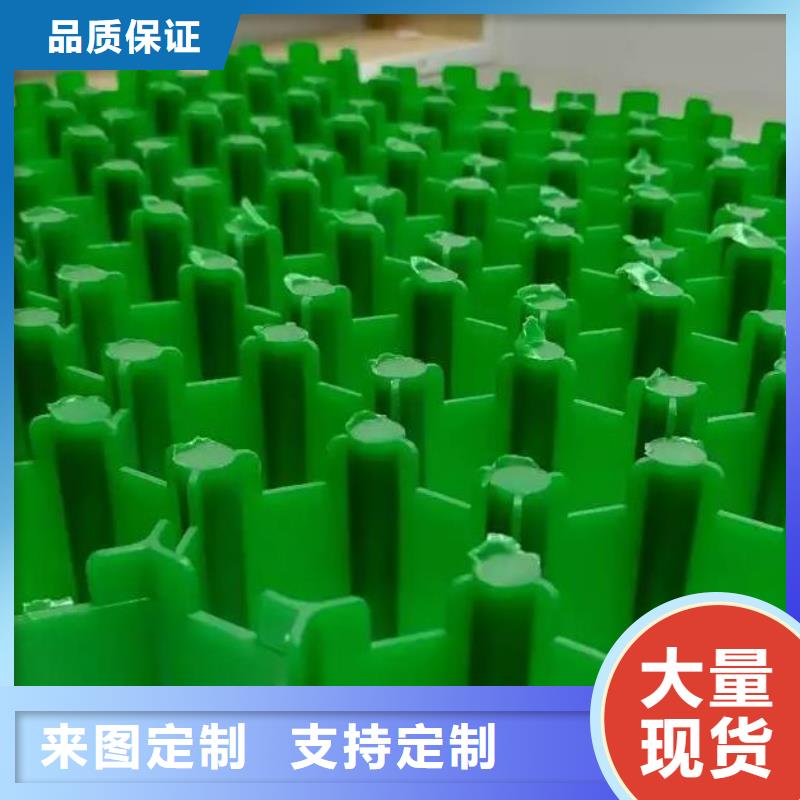 植草格-防护虹吸排水收集系统产地厂家直销