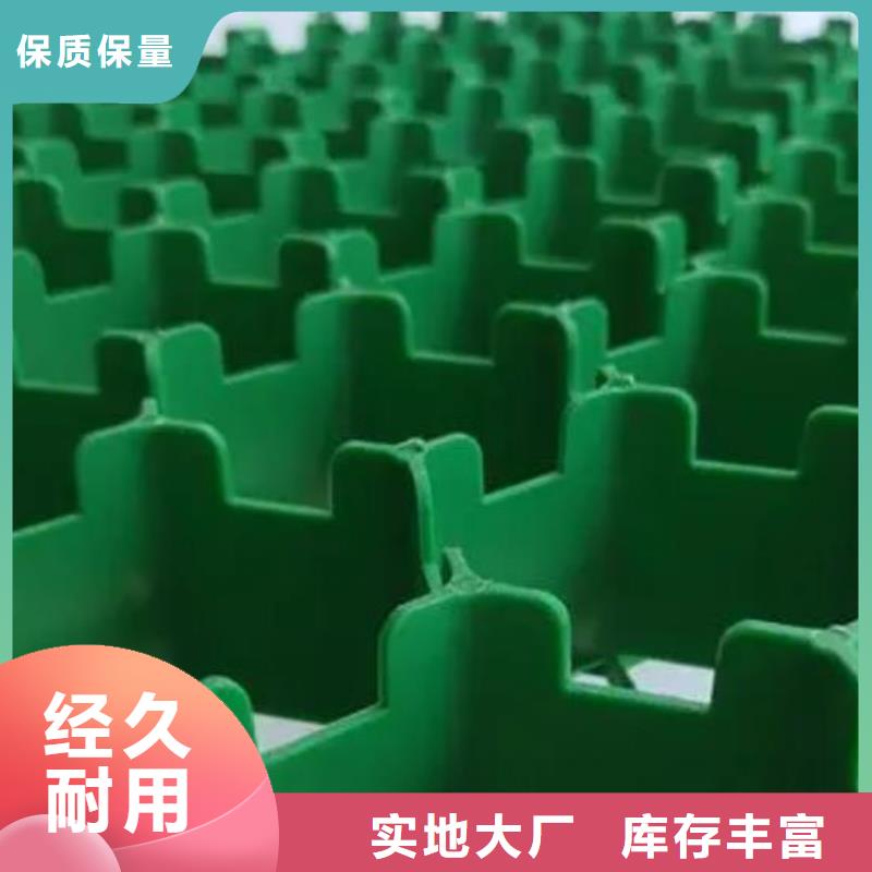 【植草格】水泥化粪池用品质说话