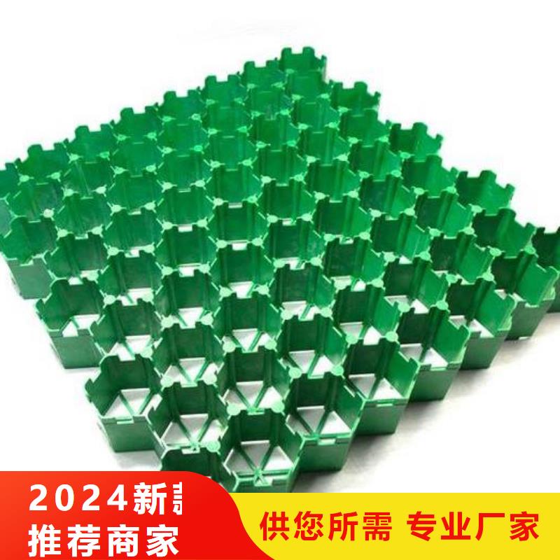植草格品质保障售后无忧