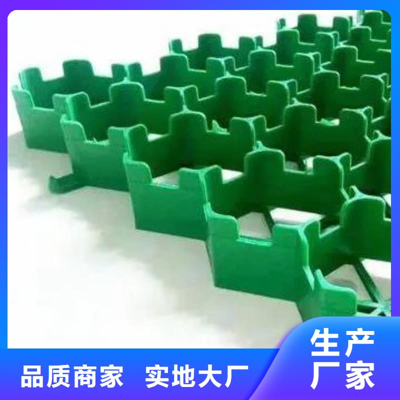 植草格【植草格】值得信赖