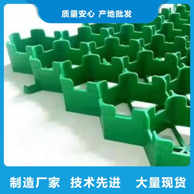 【植草格防护虹吸排水收集系统大量现货】