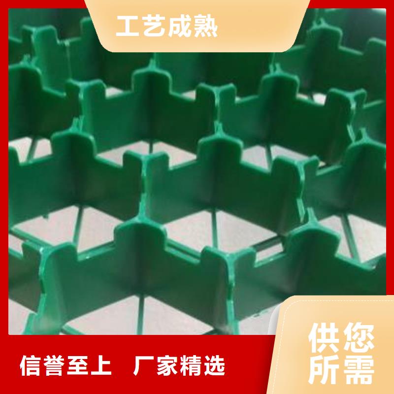 植草格【车库虹吸排水系统】一件也发货