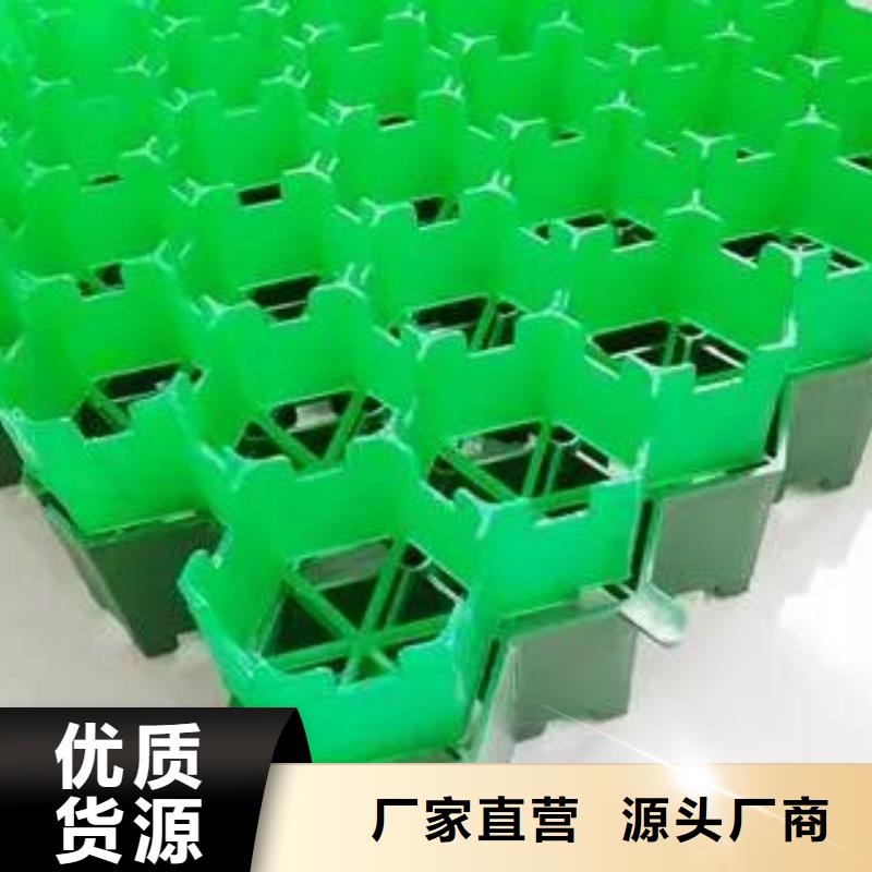植草格植草格按需定制真材实料