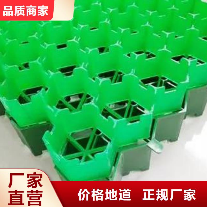 植草格,排水板好货直销