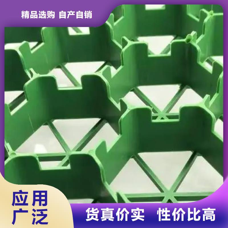 【植草格】_防护虹吸排水收集系统支持加工定制