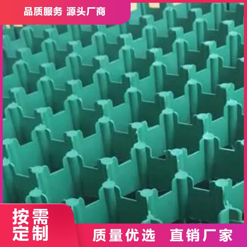 【植草格】防护虹吸排水收集系统定制批发