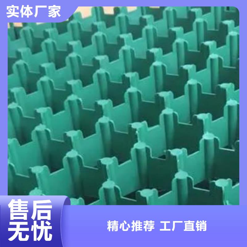 植草格植草格批发价格