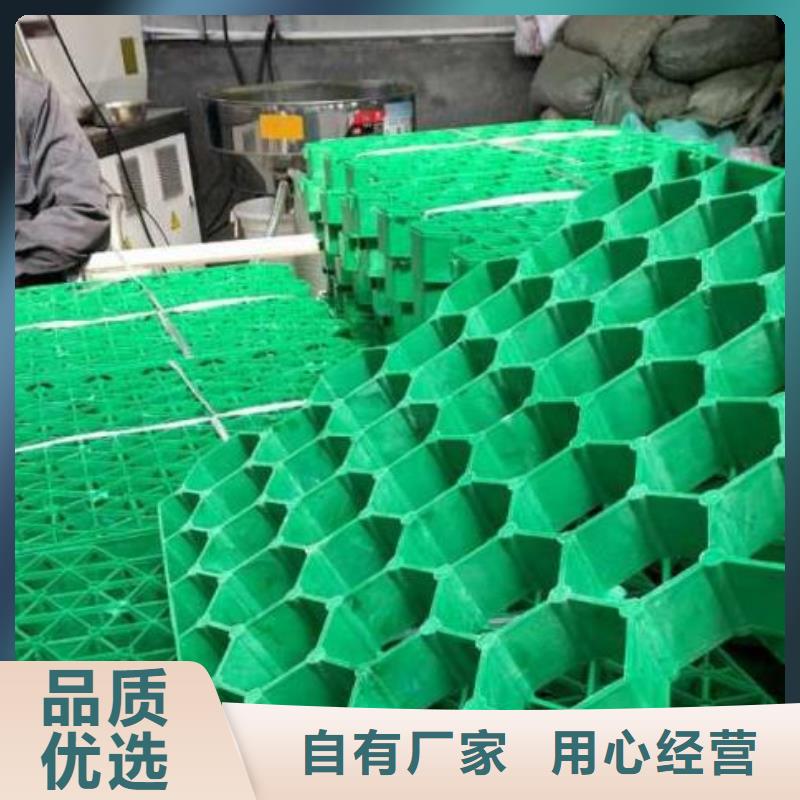 植草格水泥化粪池做工细致
