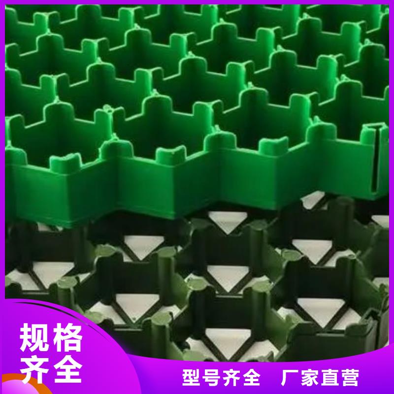 植草格防护虹吸排水收集系统实力商家供货稳定