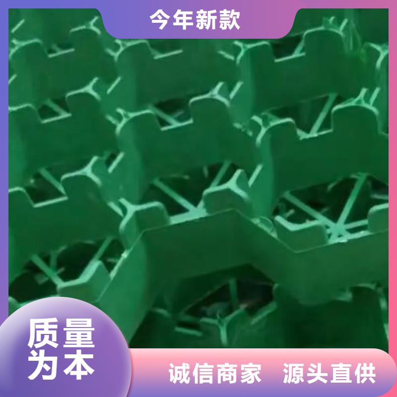 【植草格-植草格本地厂家值得信赖】