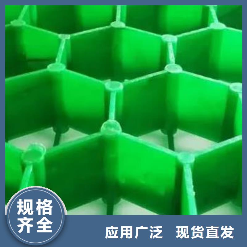 【植草格】-防护虹吸排水收集系统工期短发货快