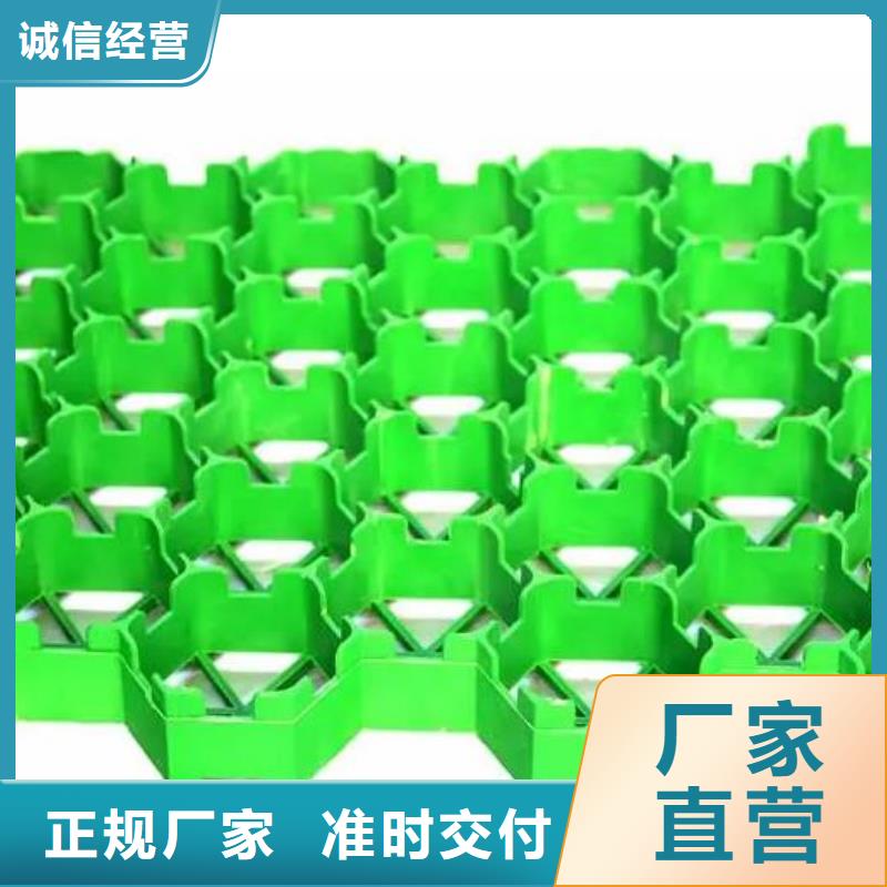 【植草格】防护虹吸排水收集系统产品优良