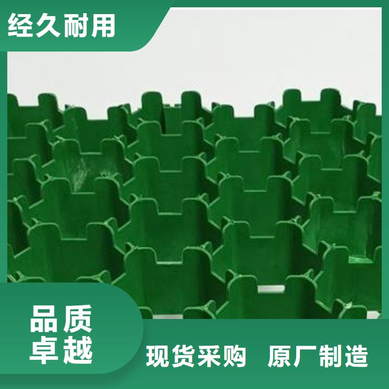 植草格水泥化粪池做工细致