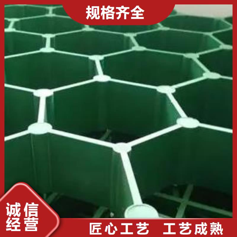 植草格排水板定制定做