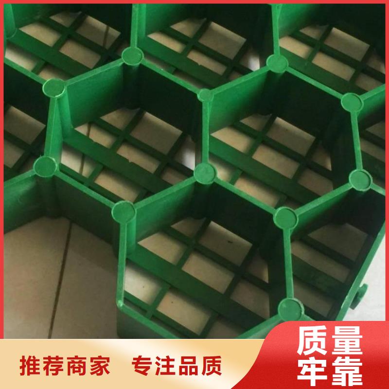 【植草格】防护虹吸排水收集系统定制批发