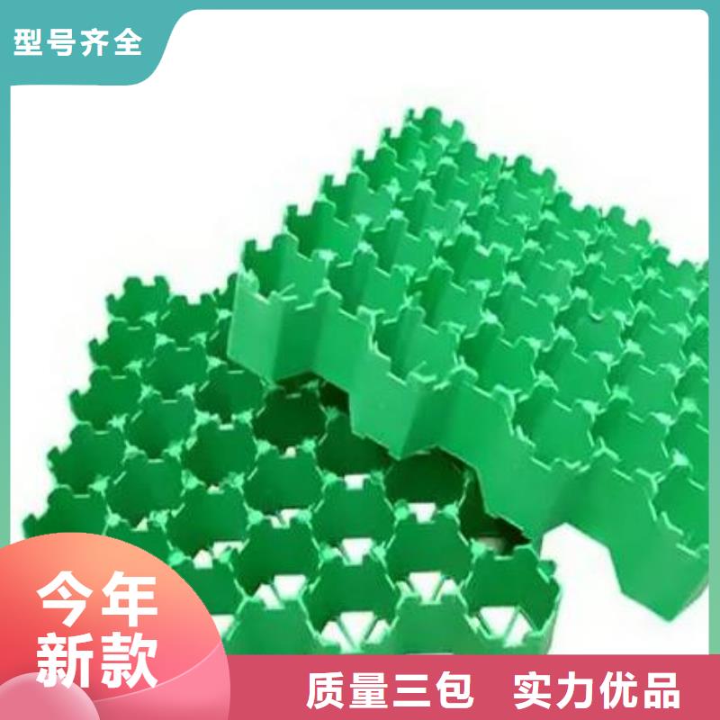 植草格水泥化粪池匠心品质