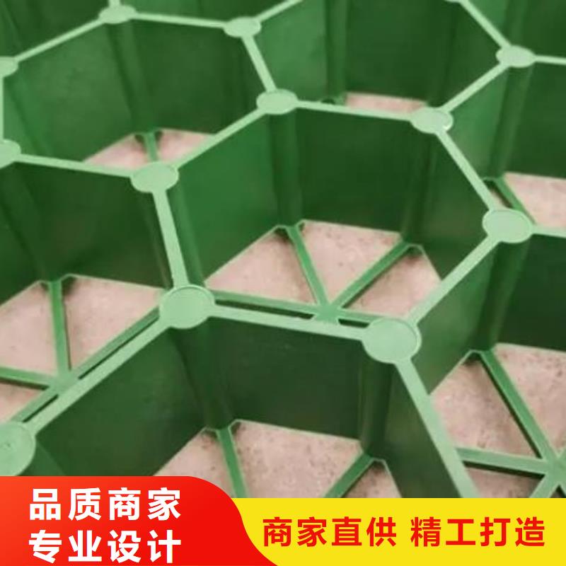 植草格_植草格专业生产制造厂