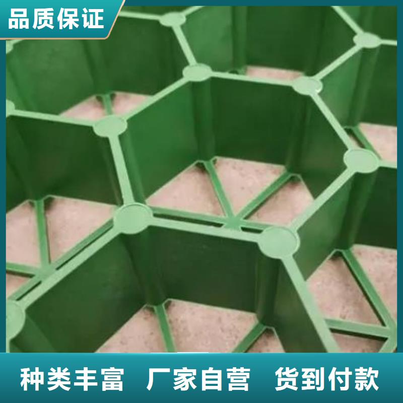植草格防护虹吸排水收集系统供应采购