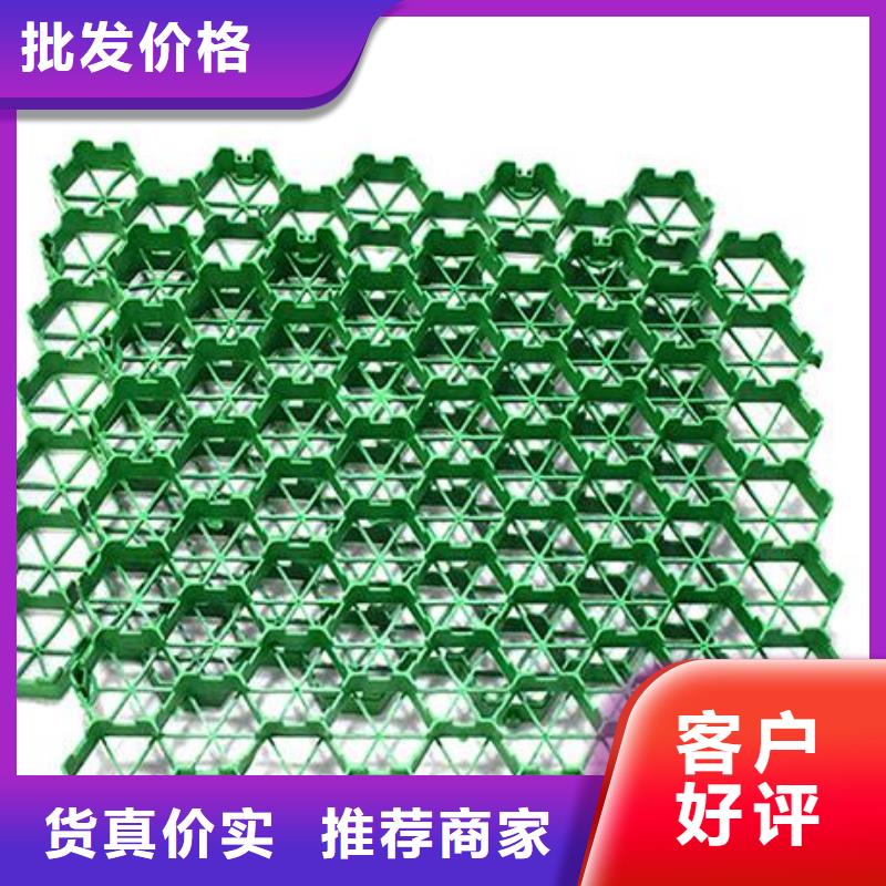 植草格水泥化粪池做工细致
