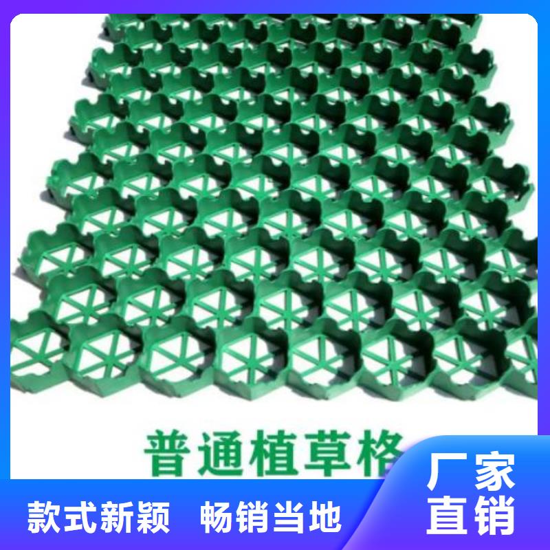 植草格_植草格诚信经营质量保证