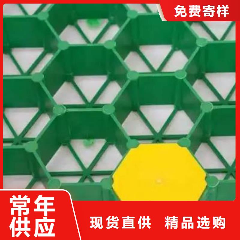 植草格排水板自主研发