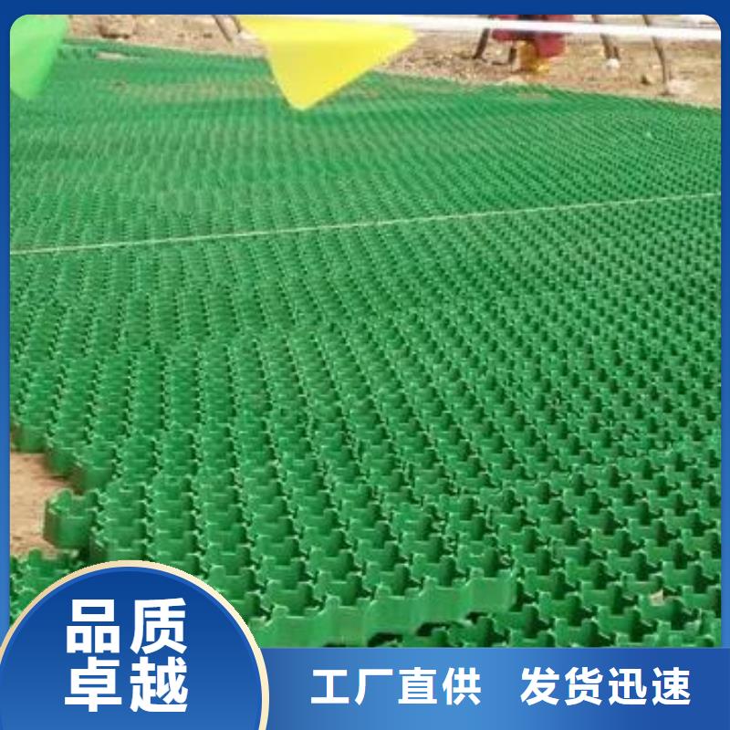 植草格【防护虹吸排水收集系统】生产厂家