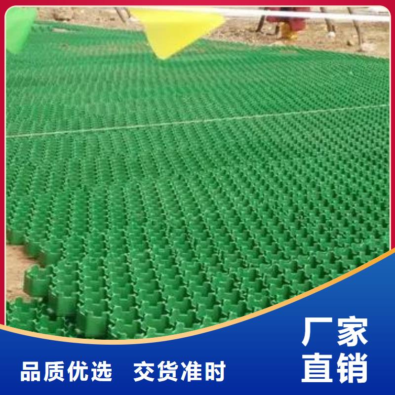植草格水泥化粪池匠心品质