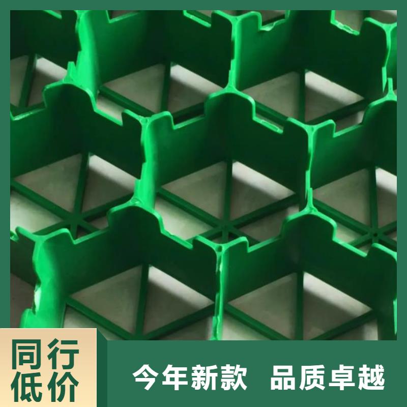 植草格【防护虹吸排水收集系统】支持大批量采购