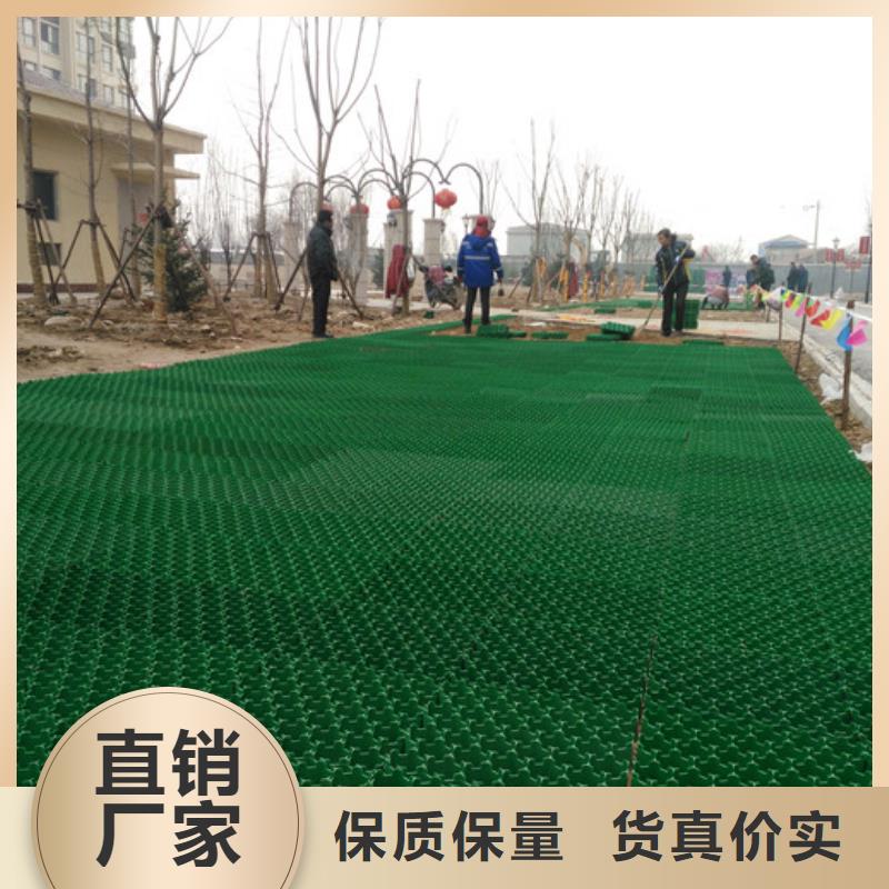 植草格水泥化粪池做工细致