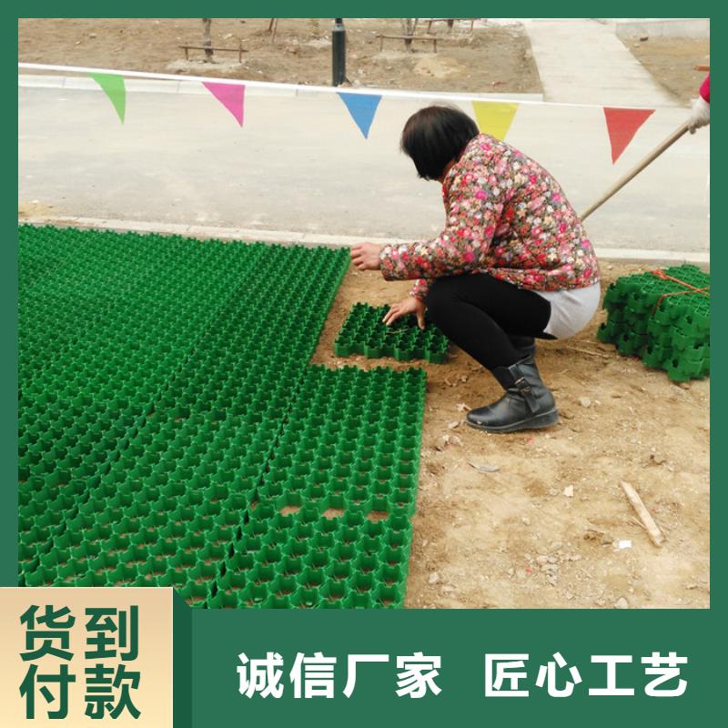 植草格防护虹吸排水收集系统实力商家供货稳定