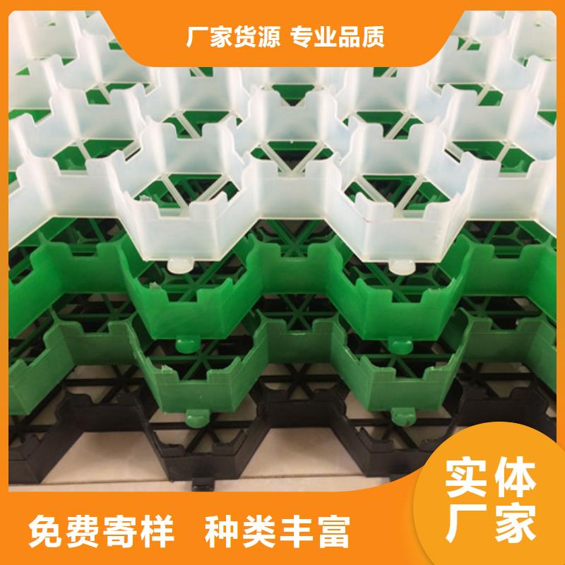 植草格_植草格专业生产制造厂