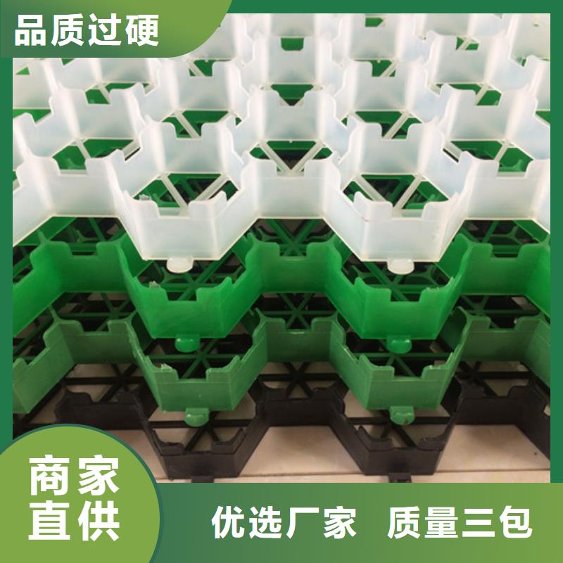 植草格品质保障售后无忧