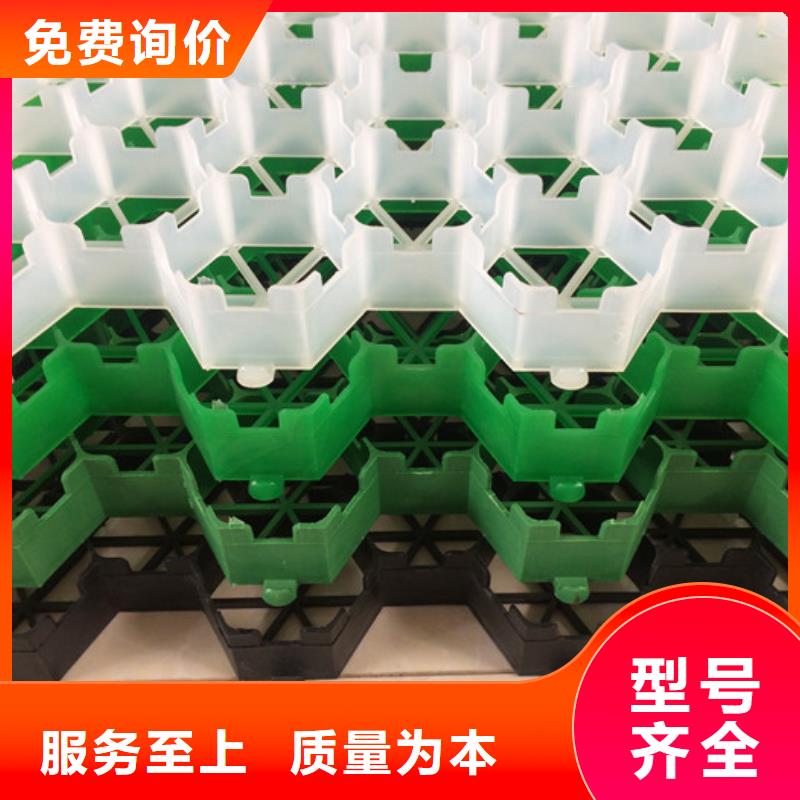 植草格_植草格直销厂家