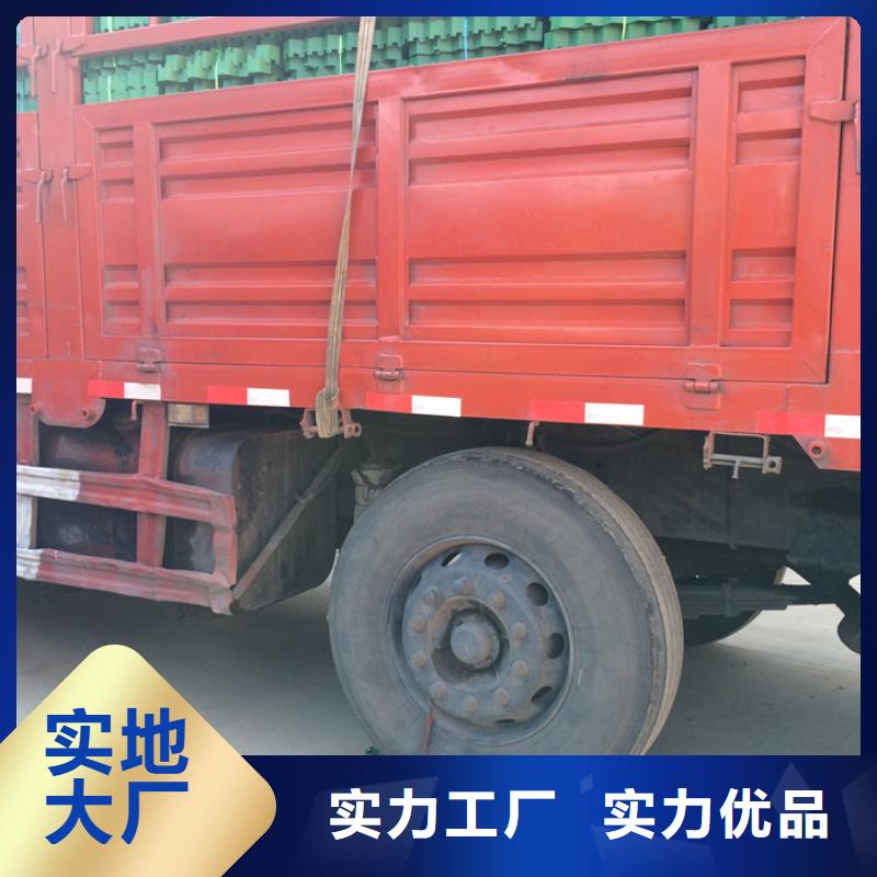 【植草格】水泥化粪池用品质说话