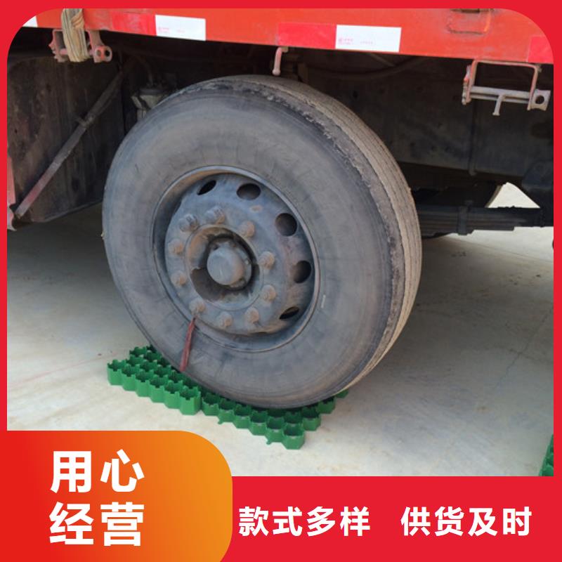 【植草格】,排水板为您精心挑选