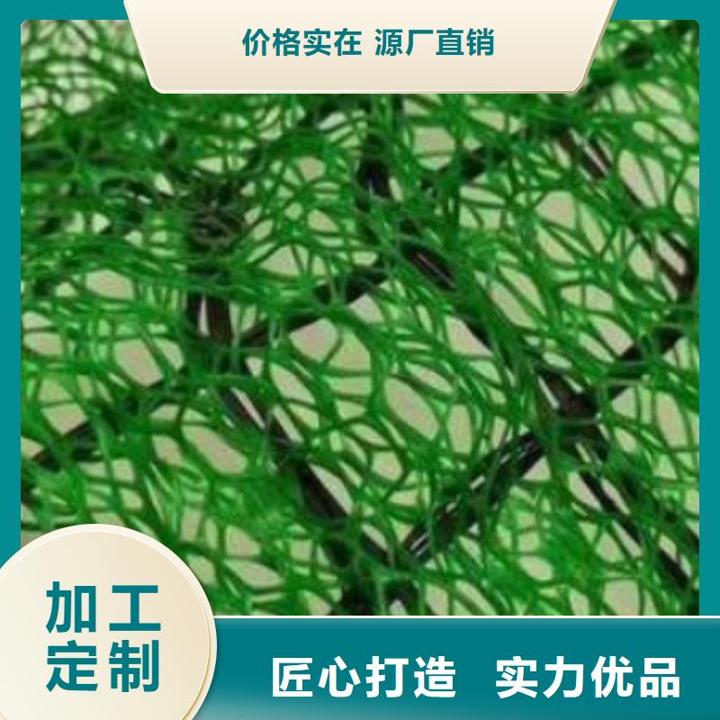 三维植被网,排水板品质无所畏惧
