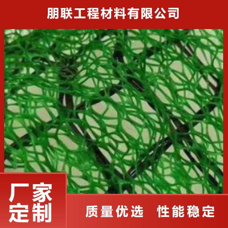 【三维植被网】植草格主推产品