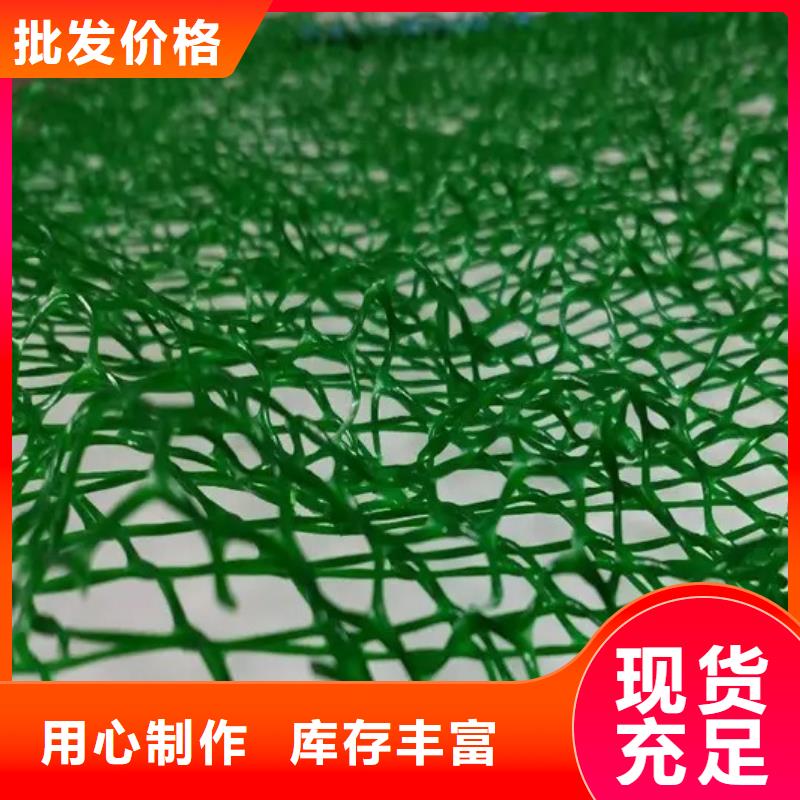 三维植被网植草格N年大品牌