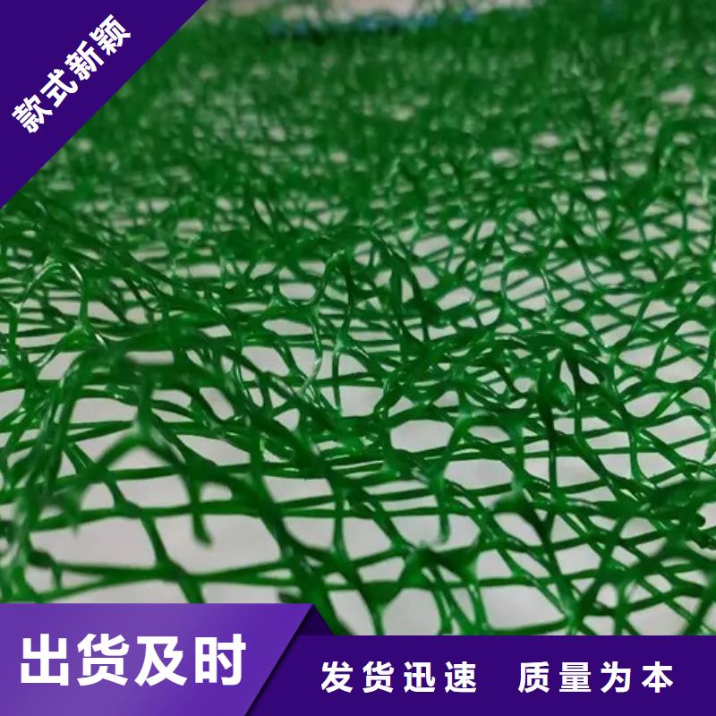 三维植被网【植草格】品质保证实力见证