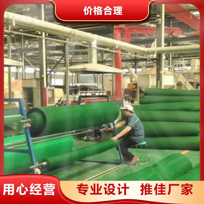 三维植被网排水板厂家工艺先进
