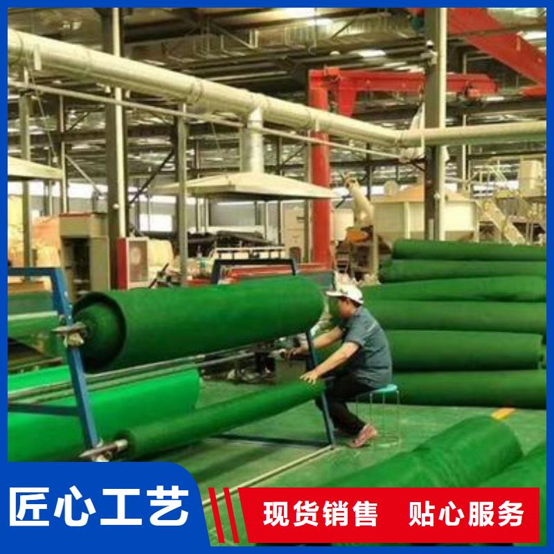 三维植被网防护虹吸排水收集系统品质无所畏惧