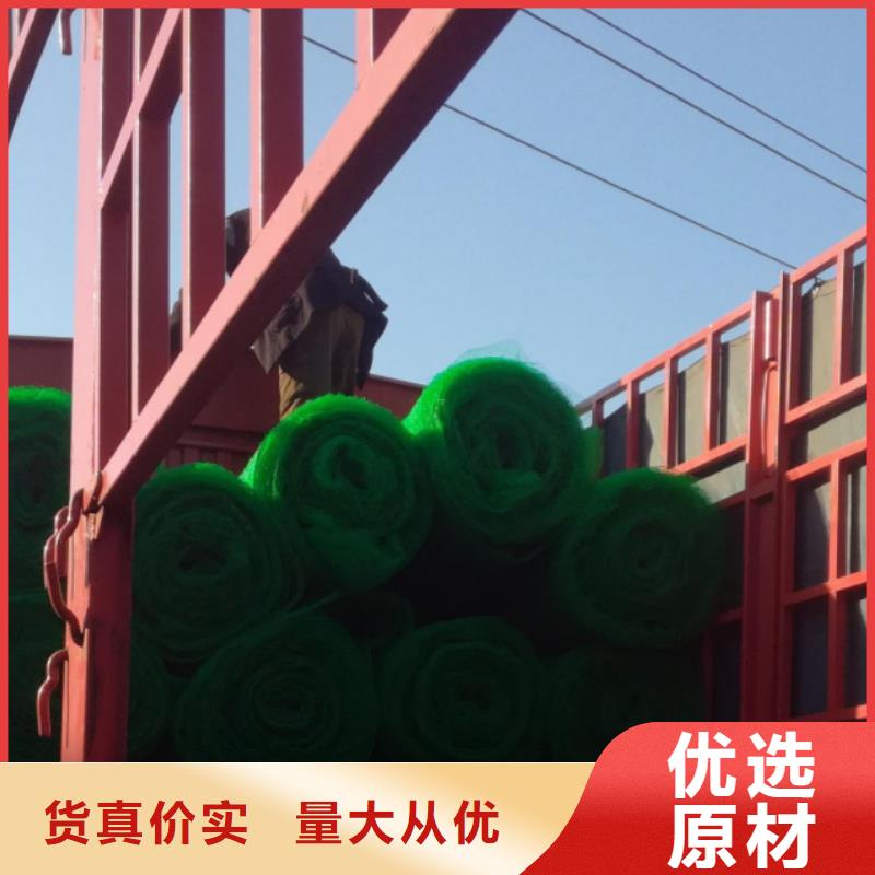 三维植被网植草格精品选购